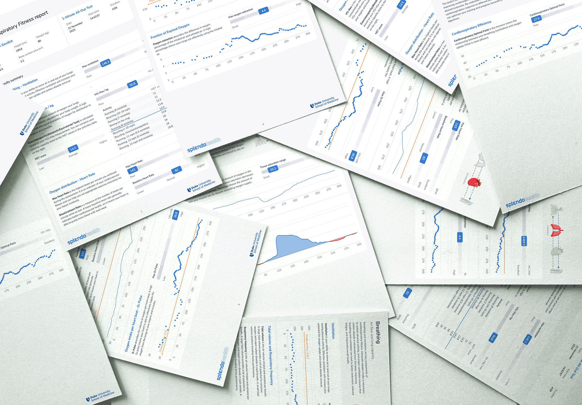SplendoHealth report pages